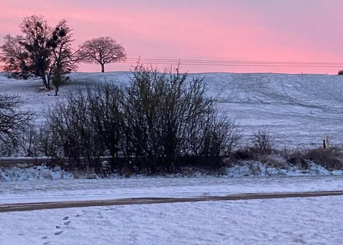 Marie Rose - Pmr * Spincourt